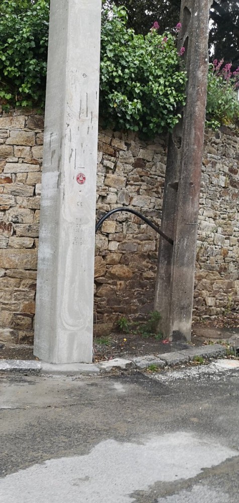 Accouplement de poteaux électriques | Rare image de l'accouplement de 2 poteaux électriques en pleine ville.
La nature reprend ses droits.
NOUS SOMMES LE PROBLÈME.
ConfinementJour48 #CoronavirusFrance
NousSommesLeProblème
https://twitter.com/DarkVador_Off/status/1256644305881632770