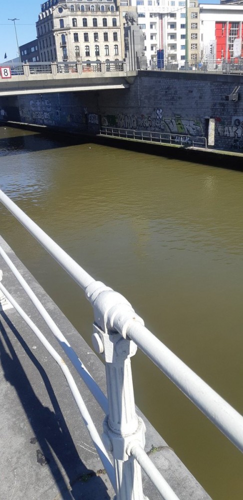 Canal de Bruxelles translucide | Incroyable ! A Bruxelles, le canal est devenu complètement translucide ! #NousSommesLeProblème
https://twitter.com/julienbalbo/status/1242076365349883906