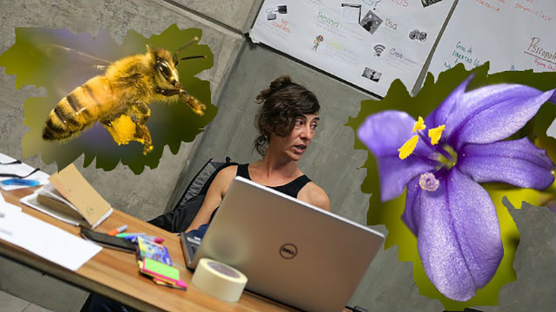 Fabulation Spéculative | Image publiée pour l' Atelier Bestioles bâtardes de Camille.
qui avait lieu du lun 11 novembre 2019 au mer 13 novembre 2019