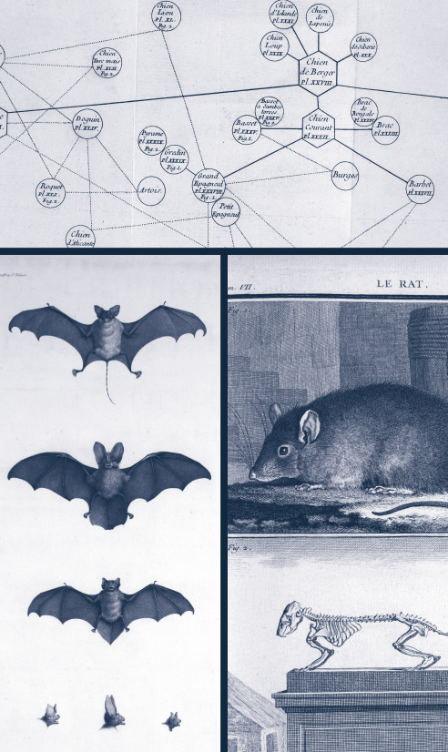 Faune référence 1 | http://cnap.graphismeenfrance.fr/faune/