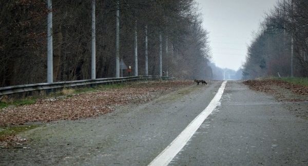 Le périphérique de Toulouse | Le périphérique de Toulouse ce matin. #NOUSSOMMESLEPROBLEME
https://twitter.com/DjonneMcfly/status/1242074041713856513