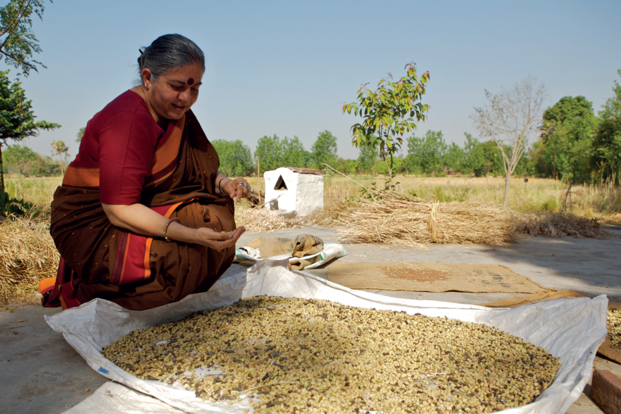 Portrait vandana shiva | 
