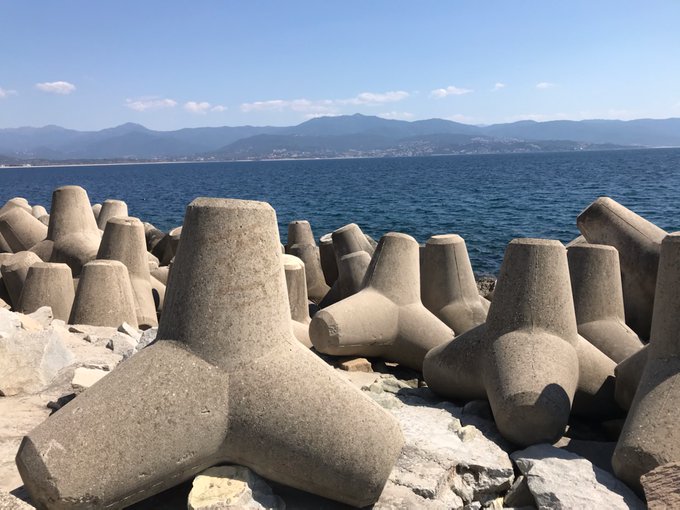 Tétrapodes majestueux | Fascinant. D'habitude effrayés par l'activité humaine, ces tétrapodes majestueux reprennent lentement le contrôle du rivage. #NOUSSOMMESLEPROBLEME
https://twitter.com/SebastienOttavi/status/1248692386705833984